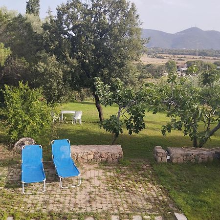 אולביה Appartamento In Villa Bruno מראה חיצוני תמונה