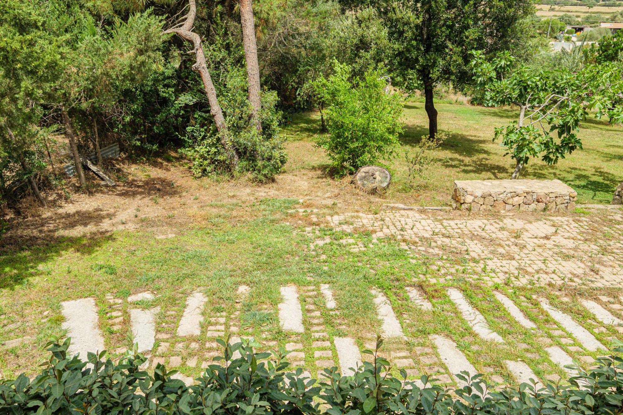 אולביה Appartamento In Villa Bruno מראה חיצוני תמונה