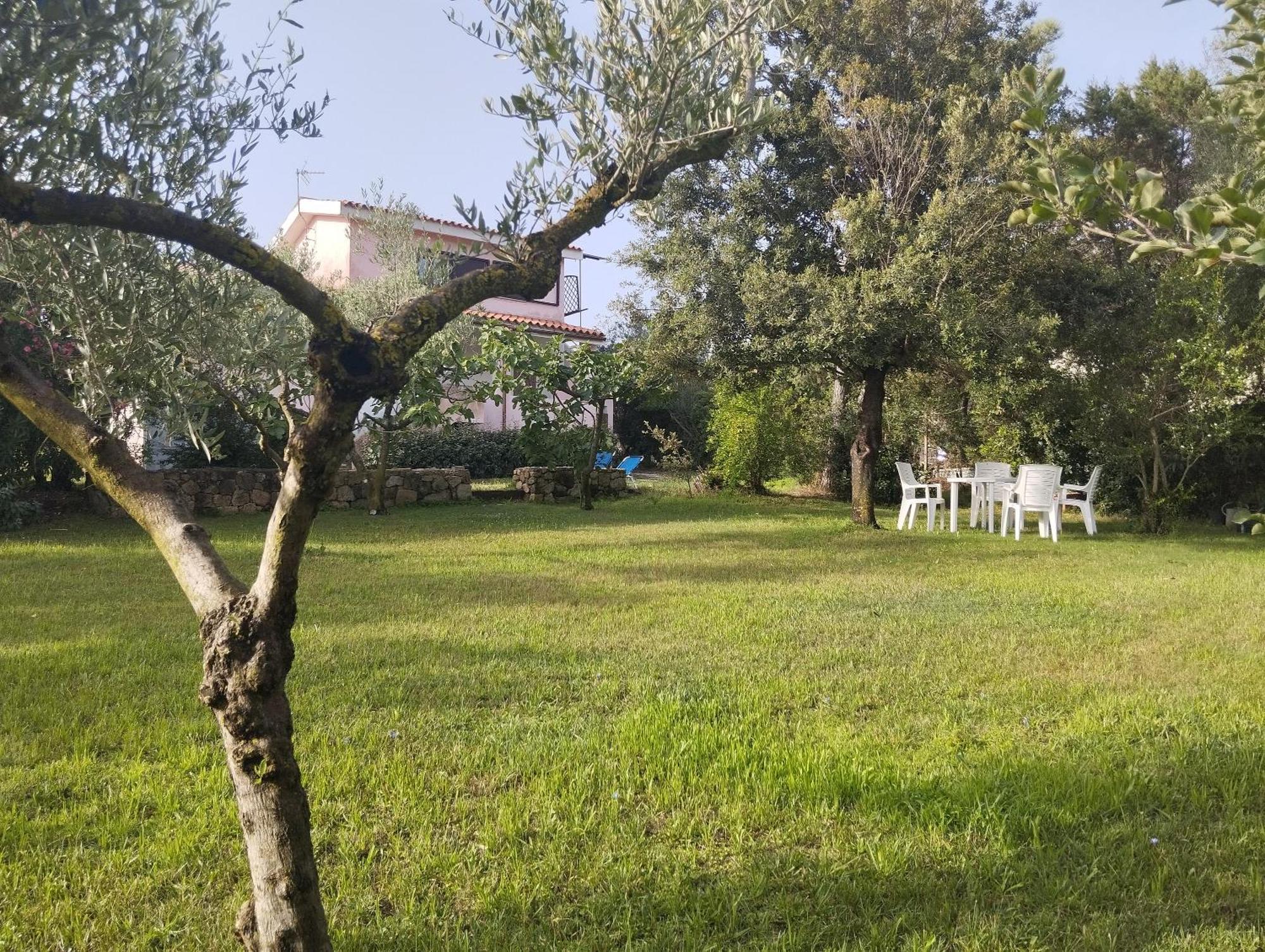 אולביה Appartamento In Villa Bruno מראה חיצוני תמונה